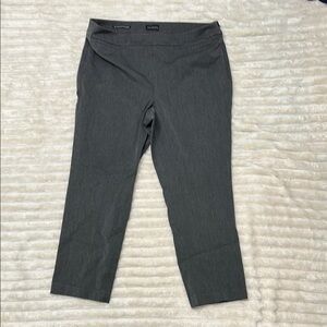 Talbot’s Women’s Refined Bi Stretch Gray Pants Size 14P